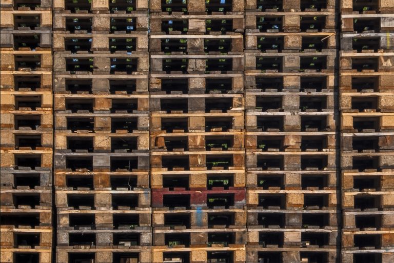 cuántas cajas caben en un europalet