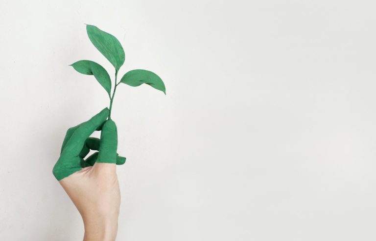 cajas ecológicas para envíos